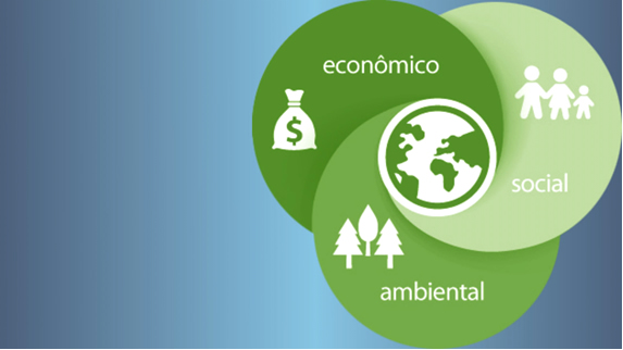 Sustentabilidade – A HORA DA VERDADE