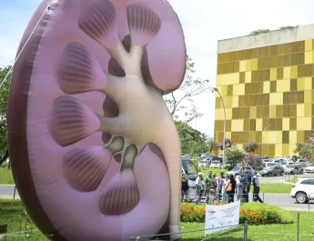 DIA MUNDIAL DO RIM OMS E DRC