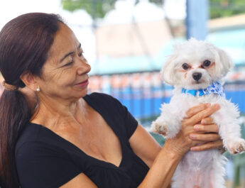 CASTRAMÓVEL CAMPOS DOS ALEMÃES