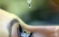 OFTALMOLOGISTAS PELO GLAUCOMA