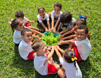 HORTAS COMUNITÁRIAS NAS ESCOLAS