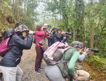 OBSERVAÇÃO DE AVES EM SJC