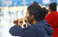 CASTRAÇÃO GRATUITA DE PETS SJC