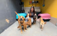 MEU PET FELIZ CELEBRA 50 EDIÇÕES SJC
