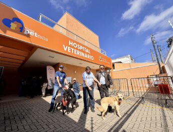NOVO HOSPITAL VETERINÁRIO EM SJC