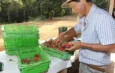 FINEP: AGRICULTURA FAMILIAR