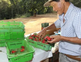 FINEP: AGRICULTURA FAMILIAR