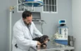MUTIRÕES CASTRAÇÃO DE CÃES E GATOS