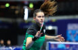 SJC: FASE DECISA WTT STAR CONTENDER