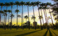 CINE SUSTENTÁVEL PARQUE DA CIDADE
