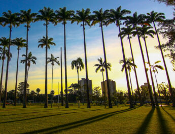 CINE SUSTENTÁVEL PARQUE DA CIDADE