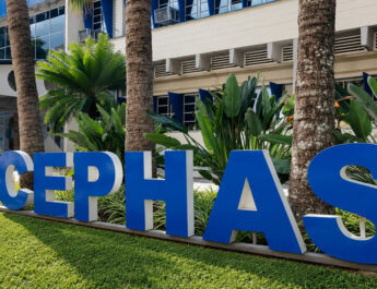 CEPHAS 440 VAGAS PARA 7 CURSOS 2027