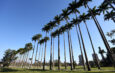 CITY TOUR NO PARQUE DA CIDADE SJC