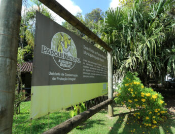 CONSELHO PARQUE AUGUSTO RUSCHI