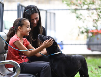 TRATAMENTO VETERINÁRIO VITÁLÍCIO
